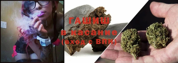 стафф Аркадак