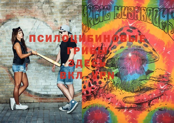 стафф Аркадак