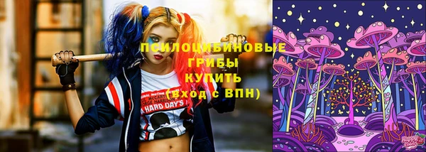 соль ск Армянск