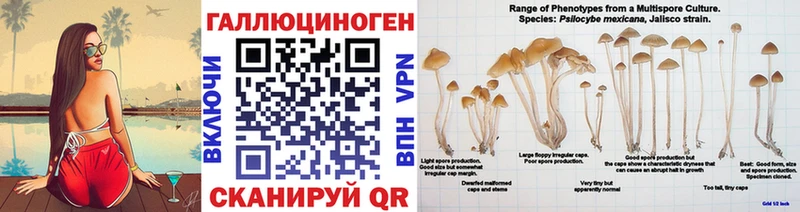 Псилоцибиновые грибы MAGIC MUSHROOMS  Бабаево 